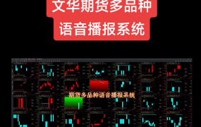 WH6文华期货多品种语音播报系统1.0