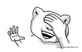 期货赚钱以后你会做什么?