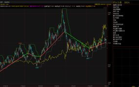 唐安琪通道策略
