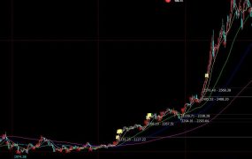 关于上证猜顶猜底的案例